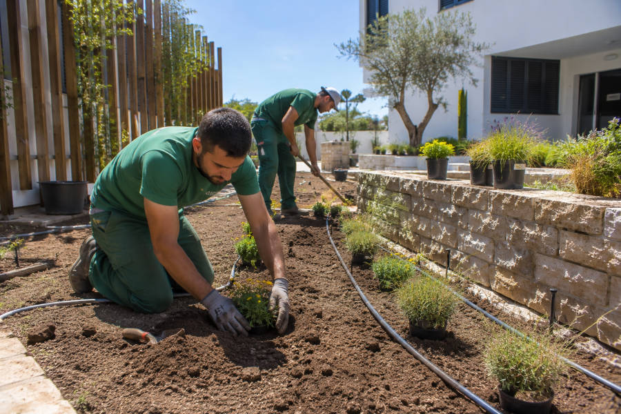 construção de um jardim em portimão