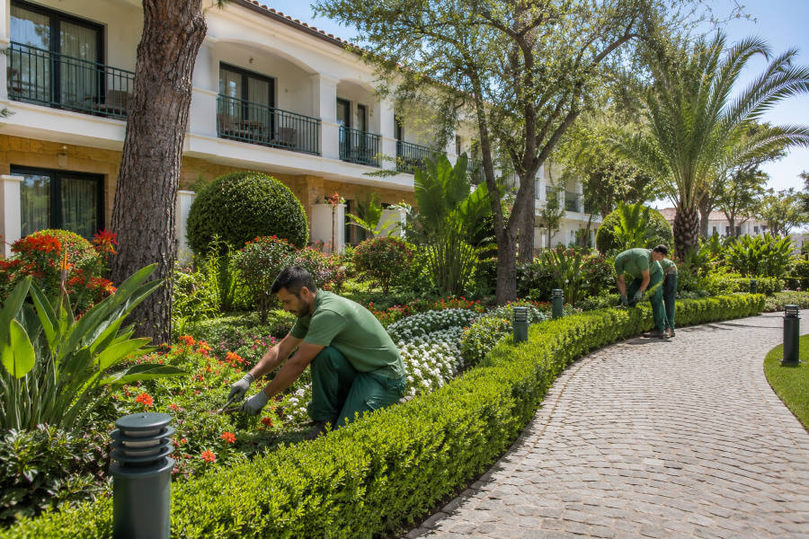 jardineiros a trabalhar num projeto de jardinagem num condomínio em Portimão