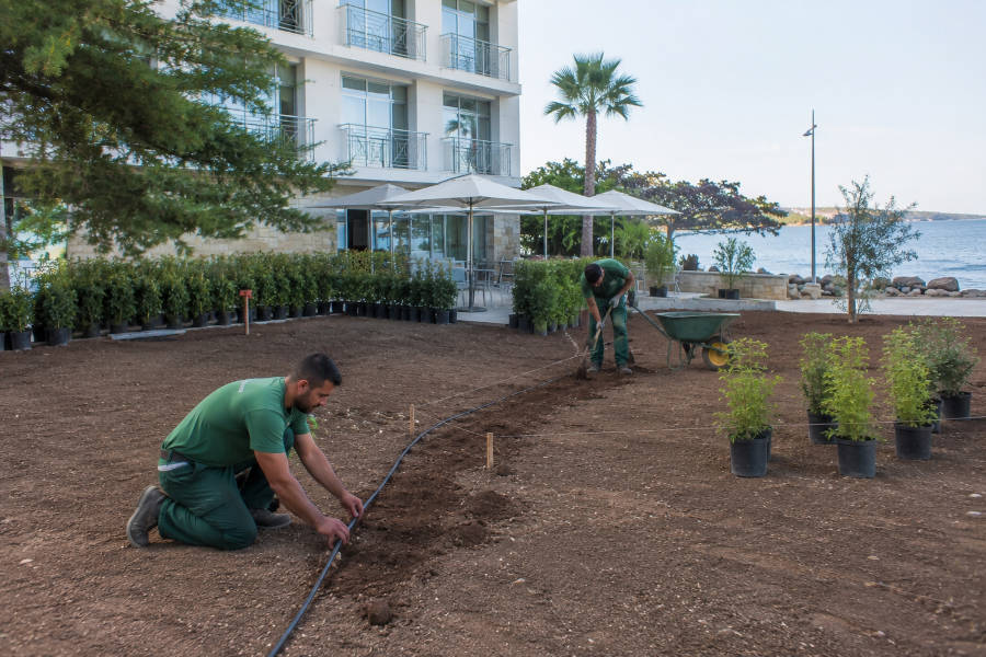 jardineiros a instalar um sistema de rega num jardim que estão a construir