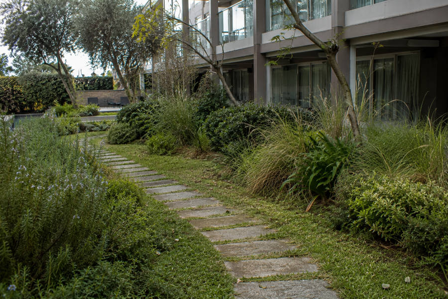 Jardim que precisa de manutenção, com plantas e arbustos mal cuidados