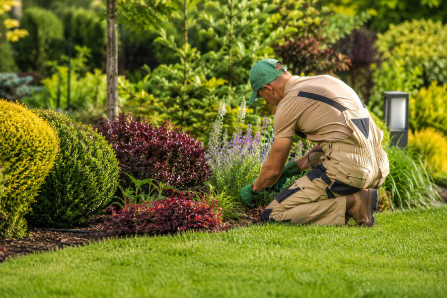 Um jardineiro faz a manutenção de um jardim em Portimão