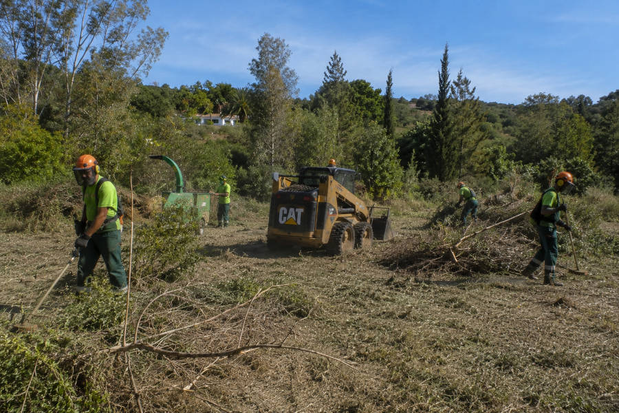 limpeza de um terreno em Malheiro