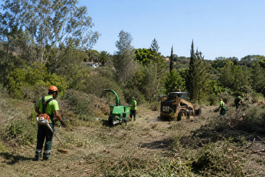 jardineiros especializados na limpeza de terrenos limpan um quintal