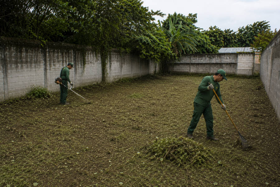 jardineiros limpiam um pequeno terreno