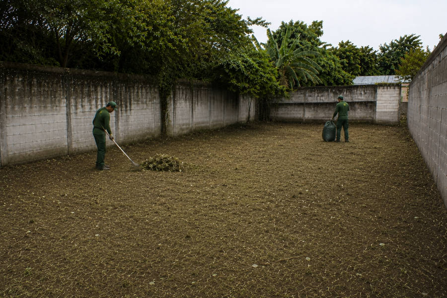 jardineiros terminam os trabalhos de desmatado de um terreno