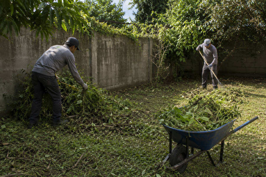 jardineiros durante a limpeza de um terreno em Parchal