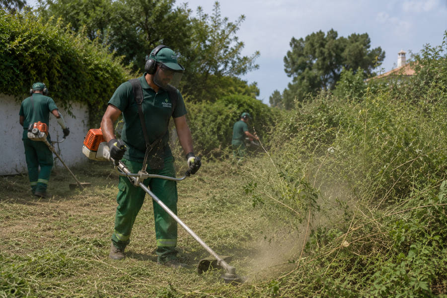 jardineiros rocando em Portimão