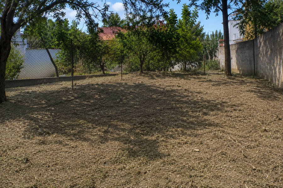 terreno situado em Alvor, após os trabalhos de limpeza