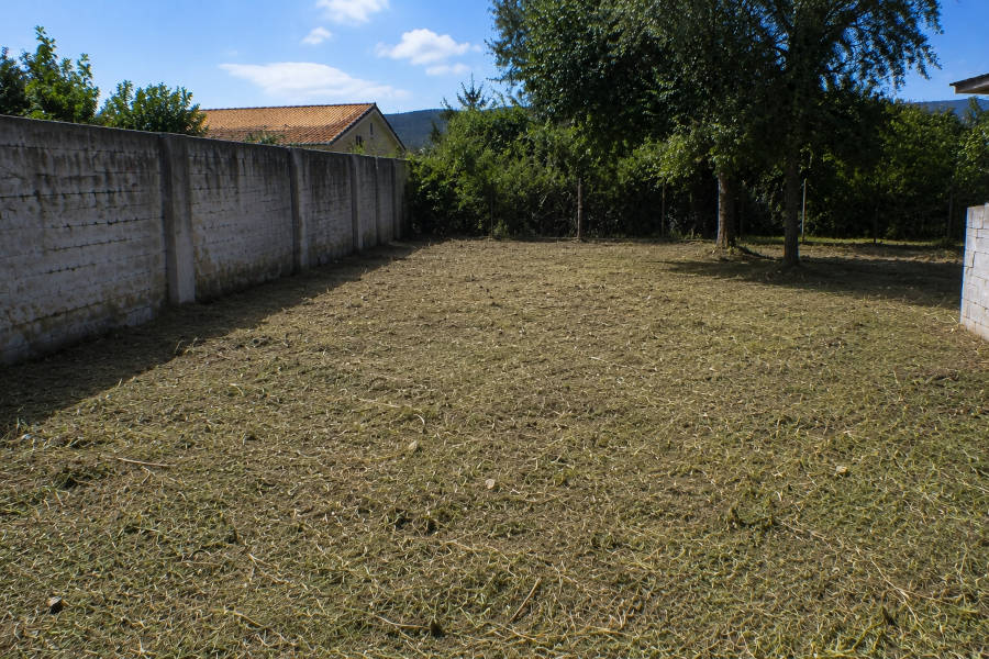 terreno livre de ervas daninhas e arbustos
