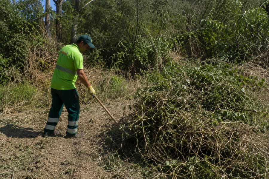 Um jardineiro realiza trabalhos de limpeza num terreno em Ferragudo