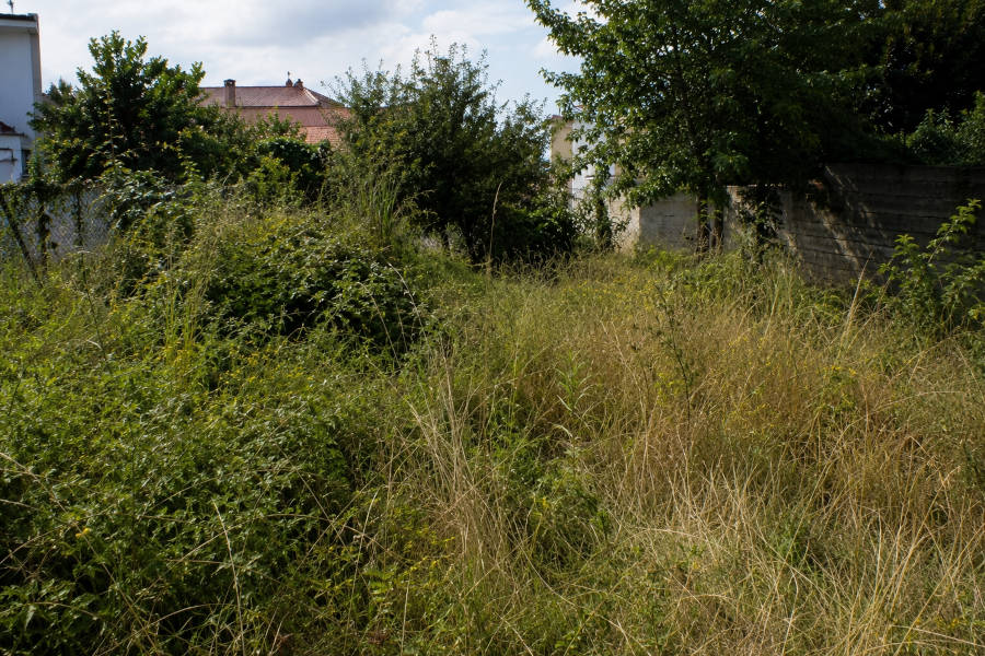 terreno em Lagoa antes da limpeza