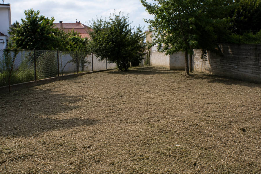 terreno em Lagoa após a limpeza