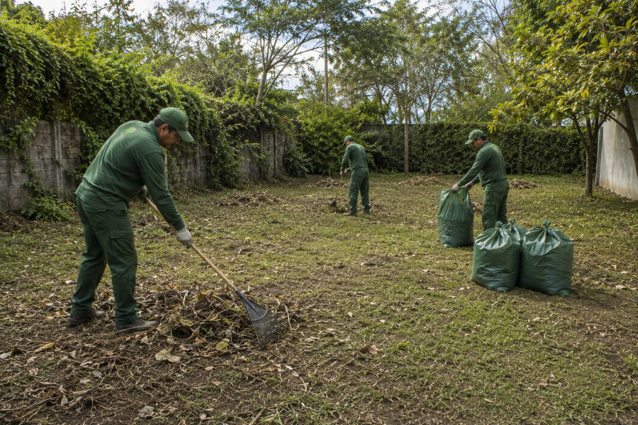 trabalhos de limpeza de terreno em Monchique