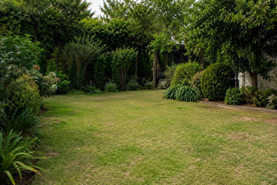 Jardim mal cuidado que precisa de manutenção