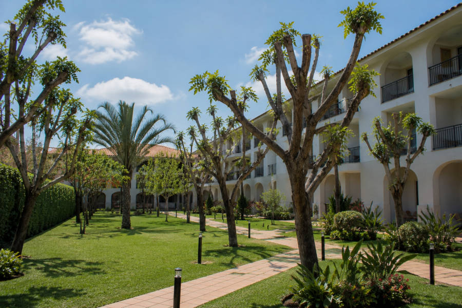 árvores podadas num hotel em Portimão